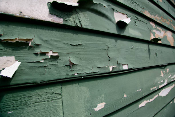 Best Stucco Siding  in Thatcher, AZ